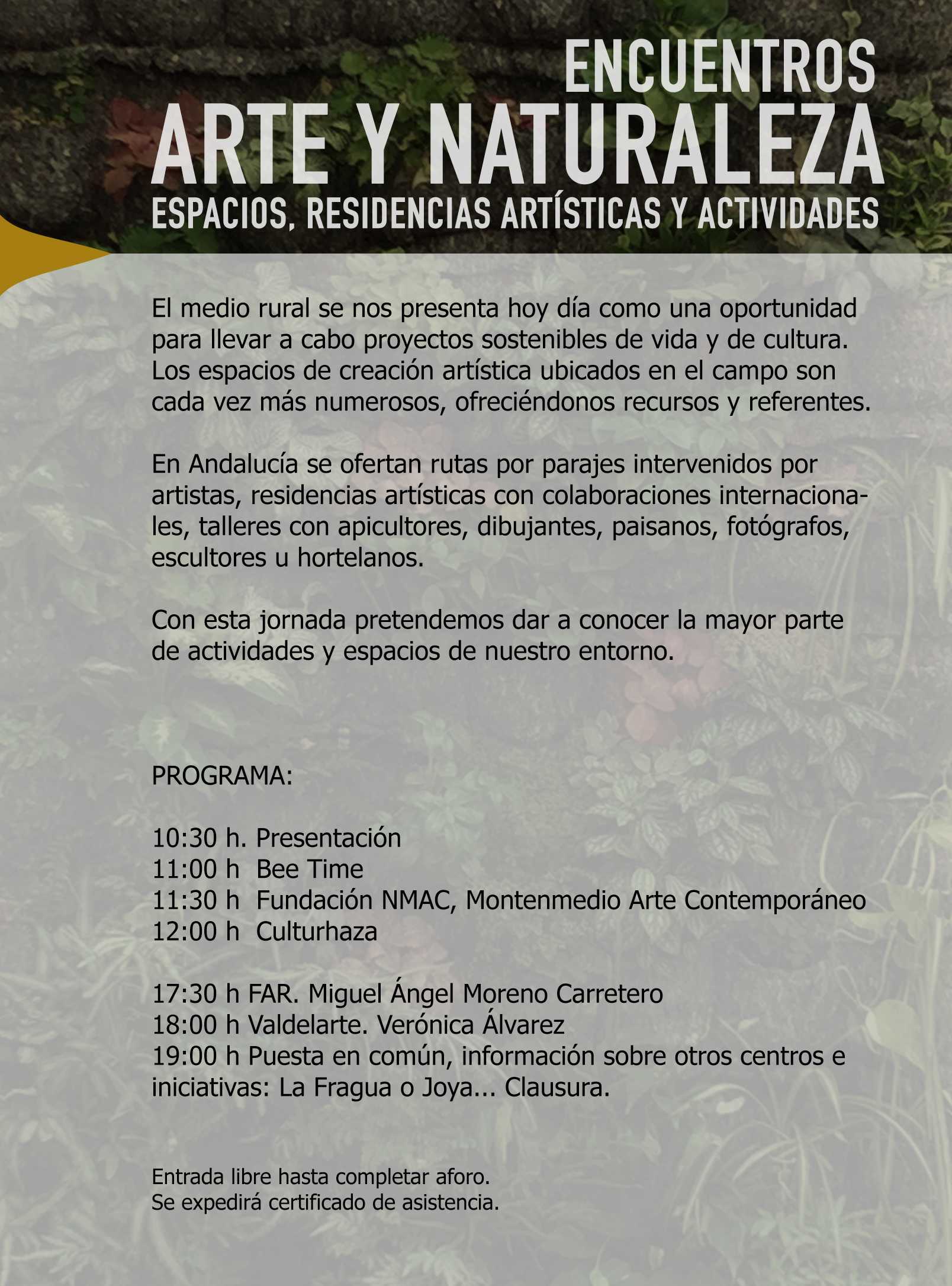 AyN programa