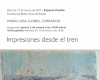 impresiones desde el tren