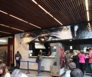 Cafetería