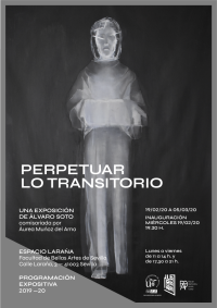 'Perpetuar lo transitorio', una exposición de Álvaro Soto