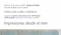 impresiones desde el tren