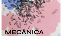 Cartel de Mecánica. Una exposición de Rocío Expósito Cano