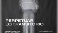 'Perpetuar lo transitorio', una exposición de Álvaro Soto