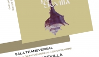 DOÑANA EN SEVILLA - TRANSVERSAL MAKING OF